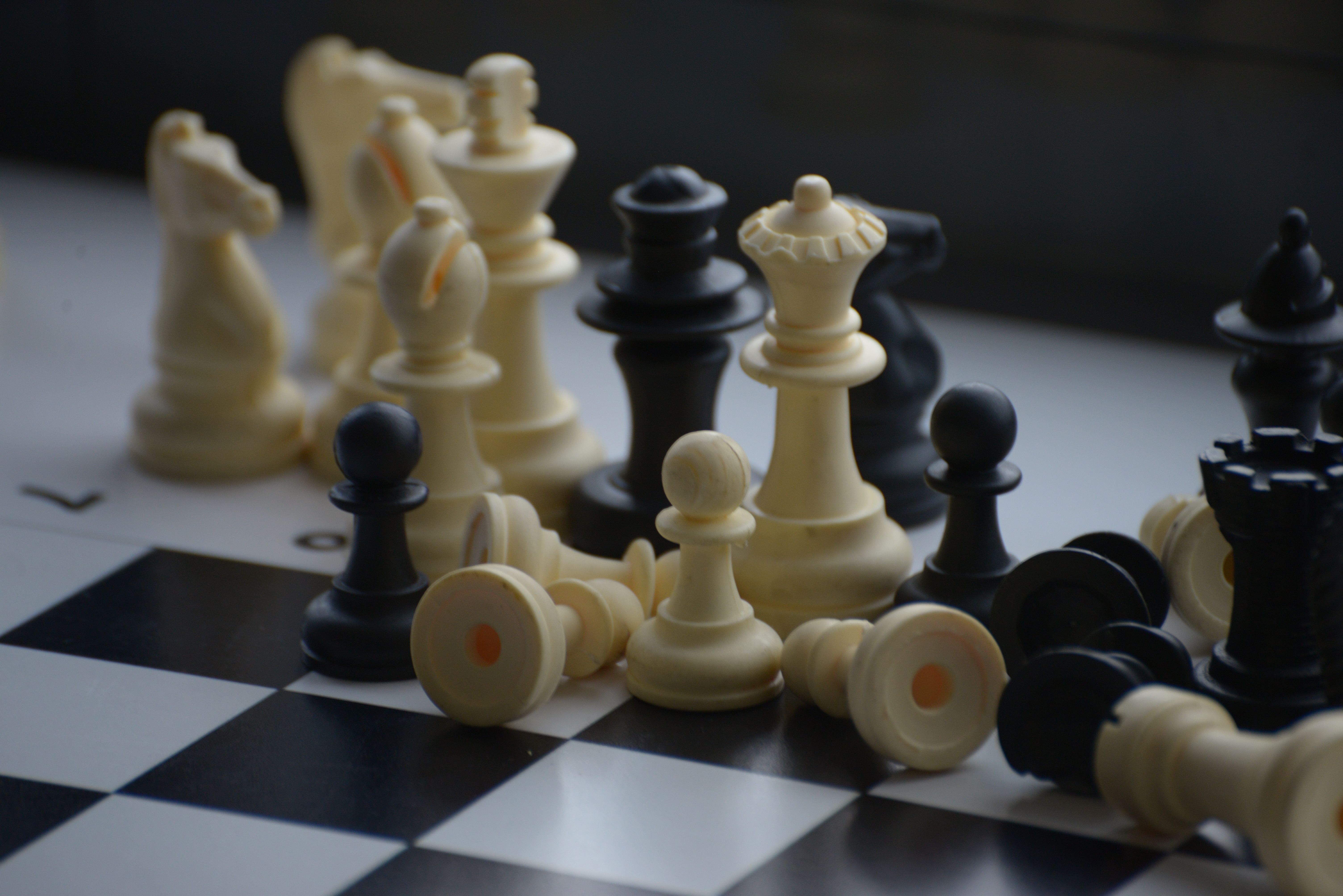 Chess & Carrom Board