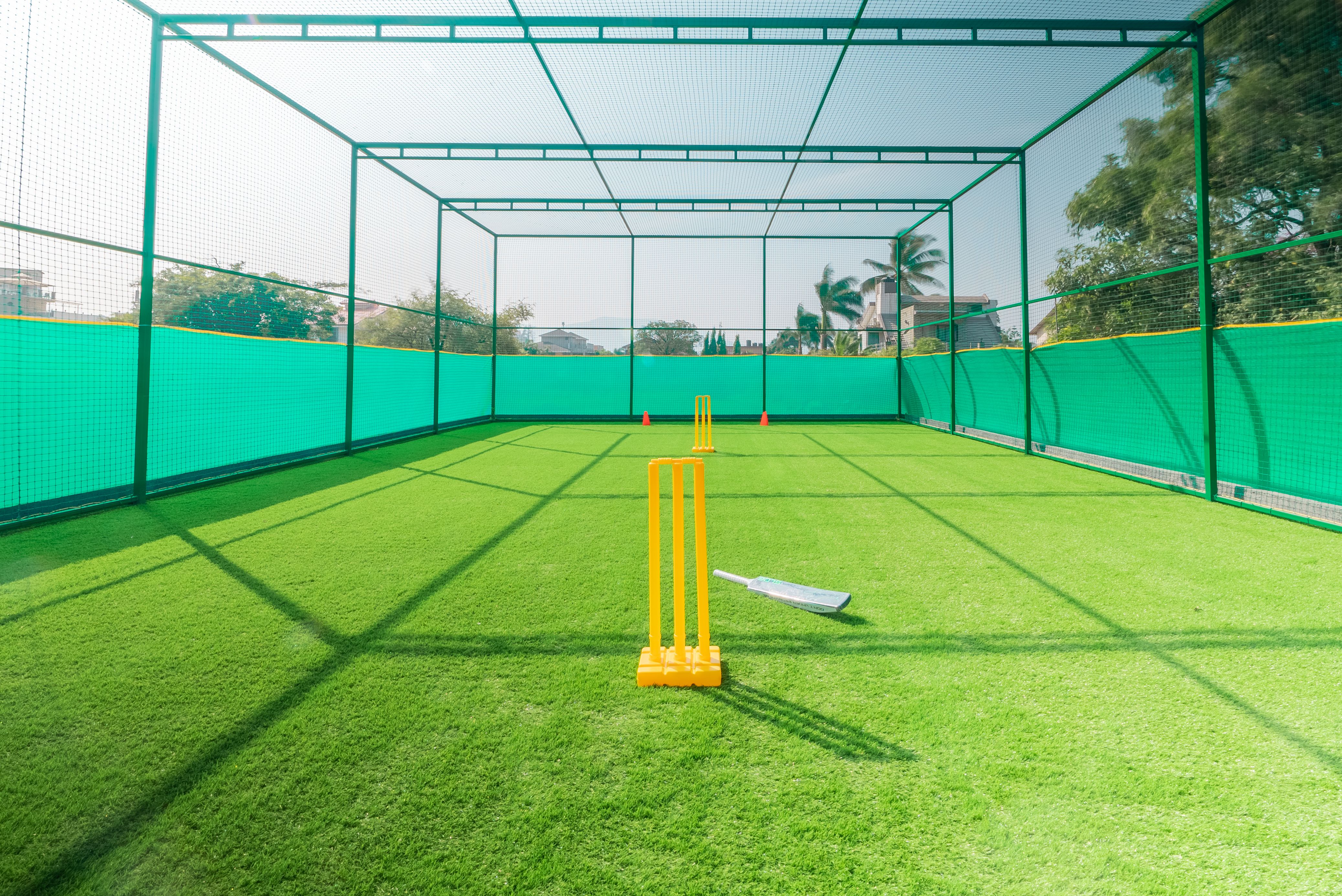 Cricket Net